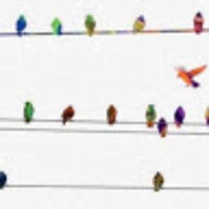 Meet your Posher, M.